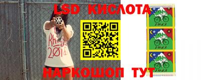 тгк Дмитров