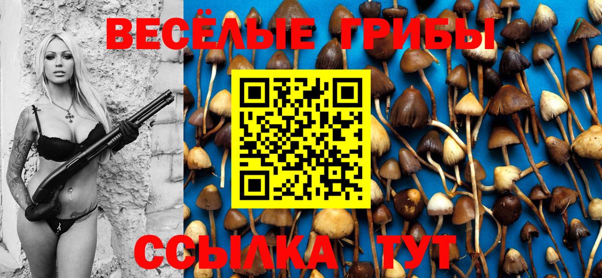 купить  цена  Псилоцибиновые грибы ЛСД  Вход с VPN  Сафоново 