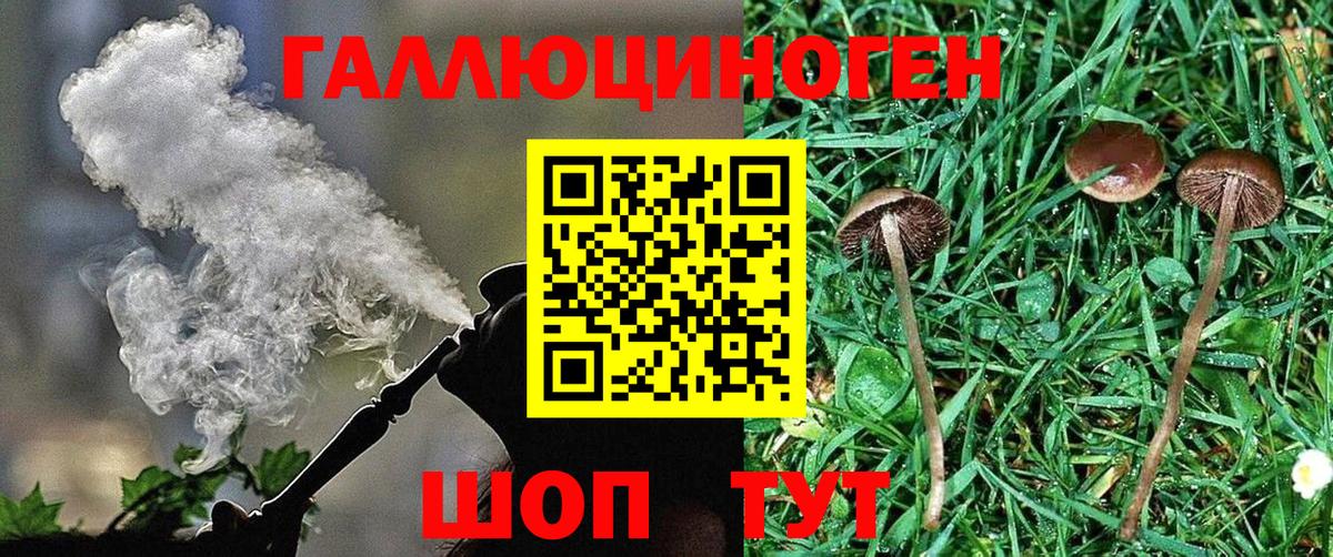 Галлюциногенные грибы Cubensis Сафоново
